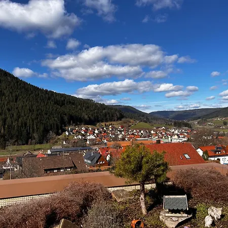 Schwarzwaldausblick - Umweltfreundlich, Pool Und Workation *