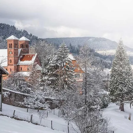 Schwarzwaldausblick - Umweltfreundlich, Pool Und Workation