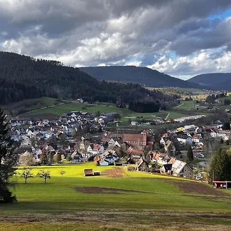 아파트 Schwarzwaldausblick - Umweltfreundlich, Pool Und Workation