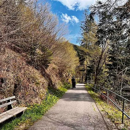 Schwarzwaldausblick - Umweltfreundlich, Pool Und Workation 바이에르스브론