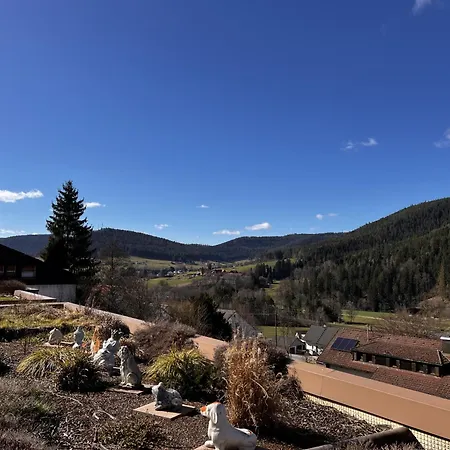 Schwarzwaldausblick - Umweltfreundlich, Pool Und Workation